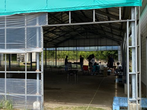 BBQ場