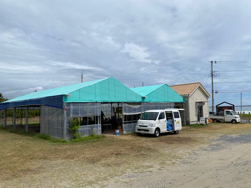 BBQ場