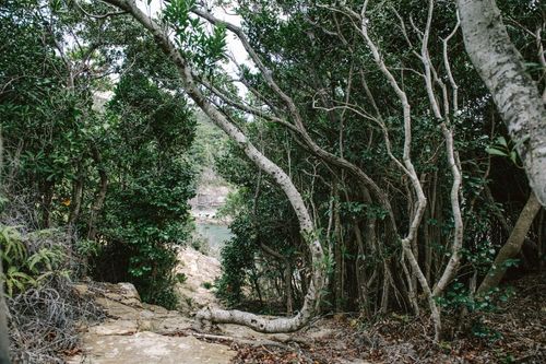 In the Outdoor 白浜志原海岸 公式HPより