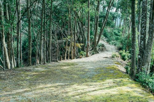 下北山スポーツ公園 公式HPより