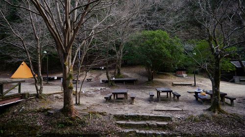 山城町森林公園 公式HPより