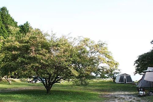 千人塚公園キャンプ場 公式HPより