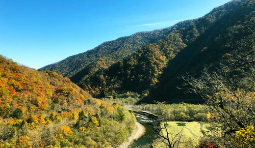 札内川園地キャンプ場 公式HPより