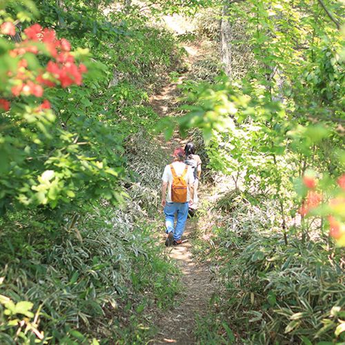 陣馬形山キャンプ場 公式HPより