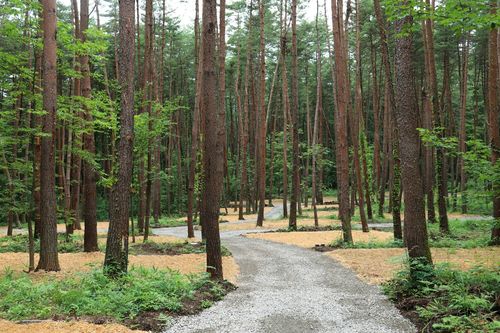 キャンプ場 公式HPより