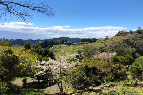 キャンプ場 公式HPより