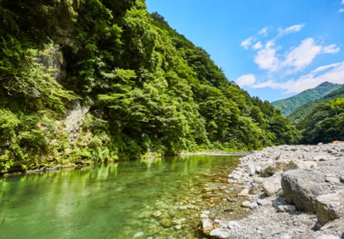 氷川キャンプ場 公式HPより