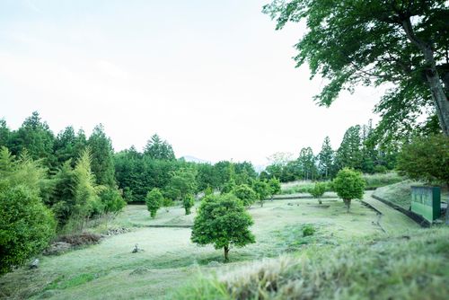 キャンプ場 公式HPより