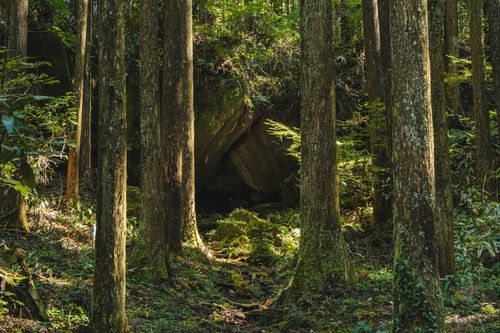 キャンプ場 公式HPより