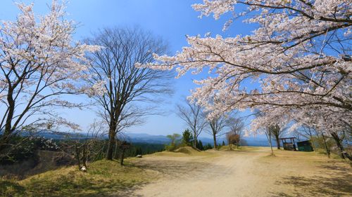 キャンプ場 公式HPより