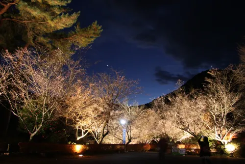 城峯公園キャンプ場 公式HPより