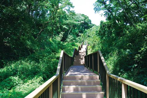 京急油壺温泉キャンプパーク 公式HPより