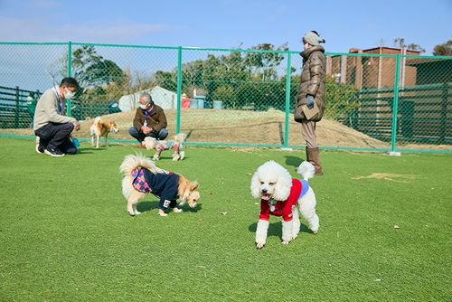 京急油壺温泉キャンプパーク 公式HPより