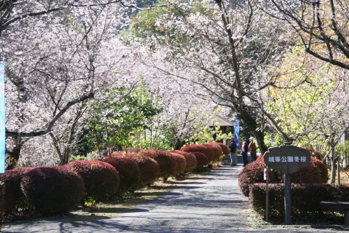 城峯公園キャンプ場 公式HPより