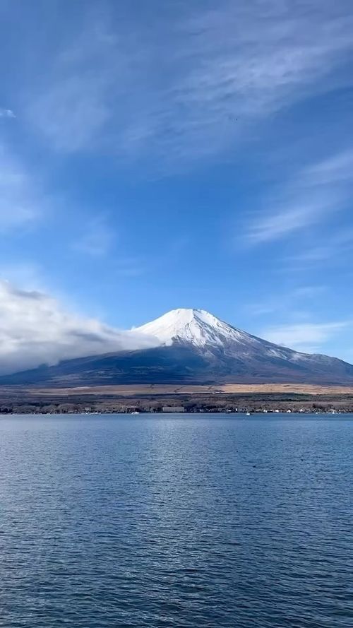 キャンプ場 公式HPより