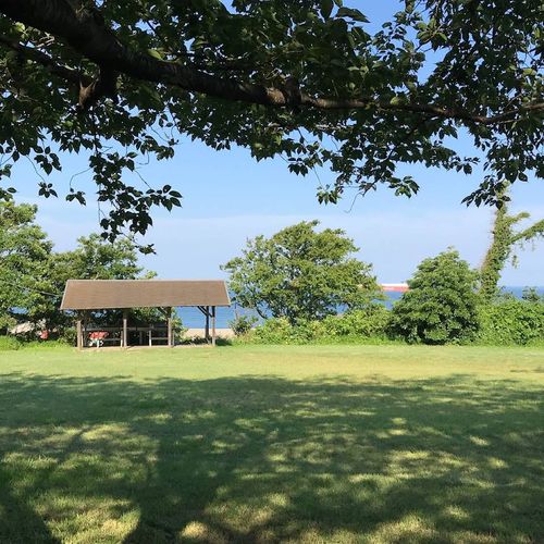 キャンプ場 公式HPより